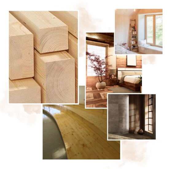 ห้างหุ้นส่วนจำกัด แบล็ควู้ด เอ็นเตอร์ไพรซ์ (2)